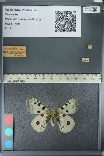 Media type: image;   Entomology 175354